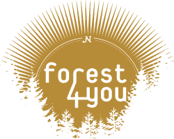 Forest4you Logo